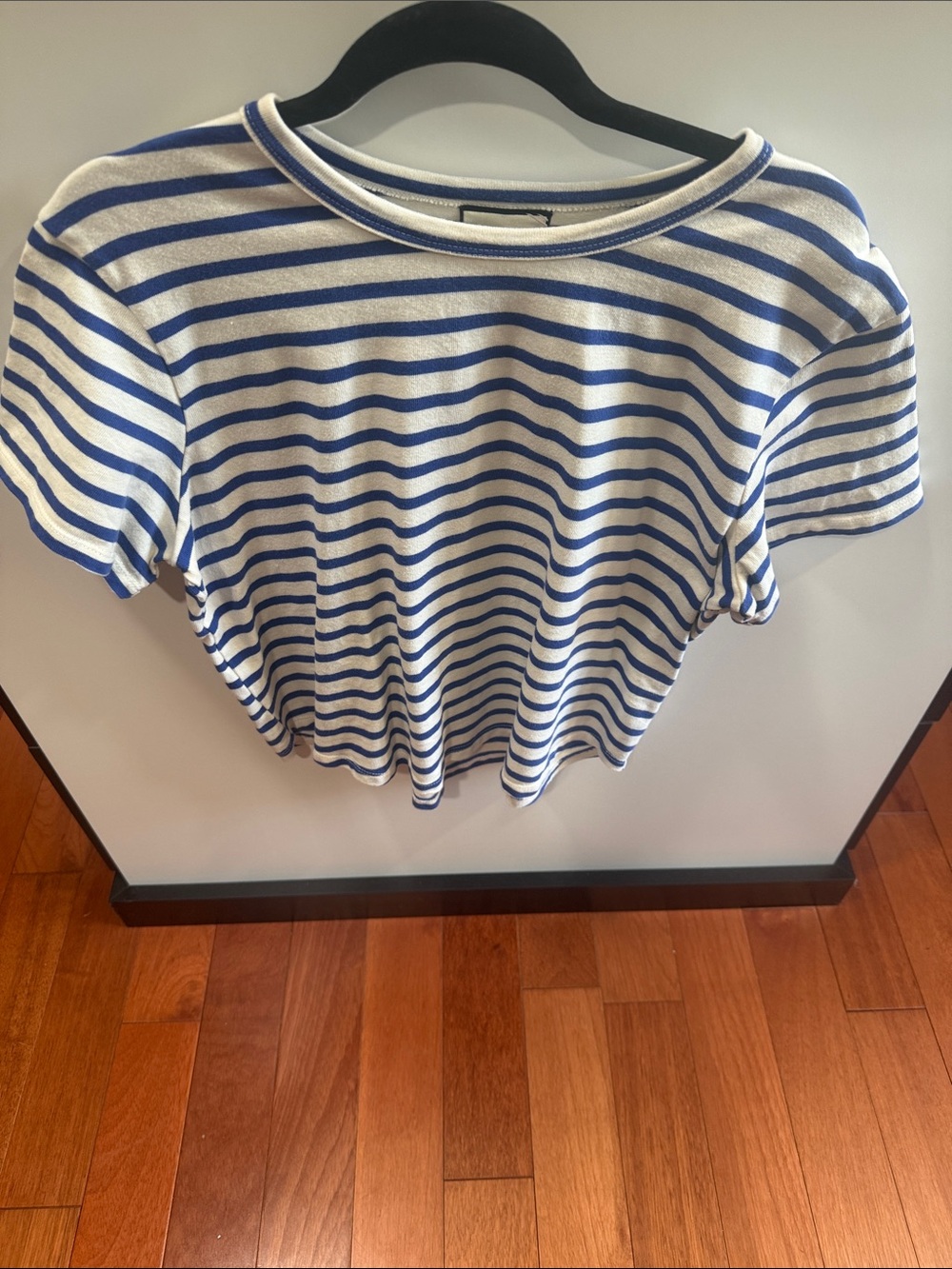 Tuckernuck Blue and White Striped Short-Sleeve Tee
